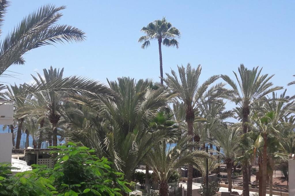Guayero, Bel Appartement A 50M De La Mer لوس كريستيانوس المظهر الخارجي الصورة